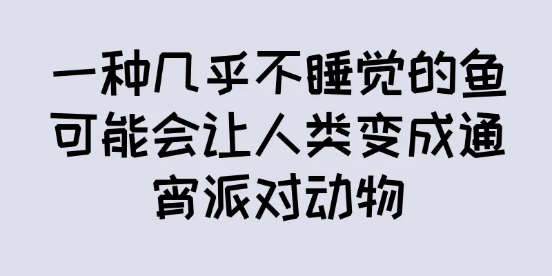 一种几乎不睡觉的鱼可能会让人类变成通宵派对动物