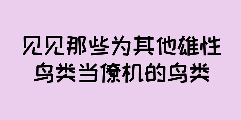 见见那些为其他雄性鸟类当僚机的鸟类