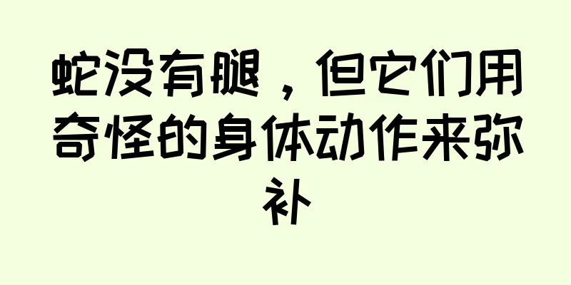 蛇没有腿，但它们用奇怪的身体动作来弥补