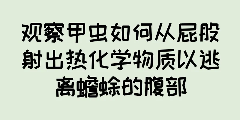 观察甲虫如何从屁股射出热化学物质以逃离蟾蜍的腹部