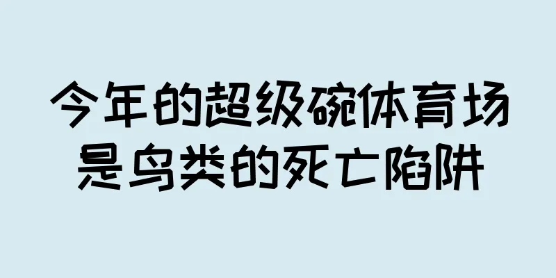 今年的超级碗体育场是鸟类的死亡陷阱