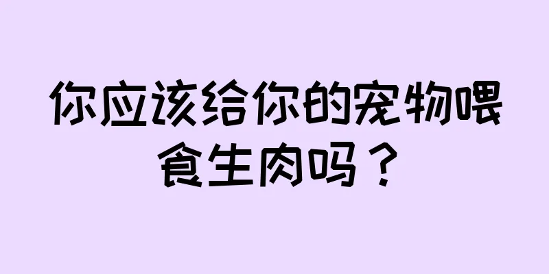 你应该给你的宠物喂食生肉吗？