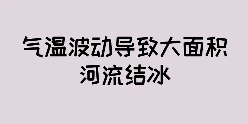 气温波动导致大面积河流结冰