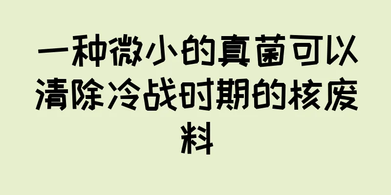 一种微小的真菌可以清除冷战时期的核废料