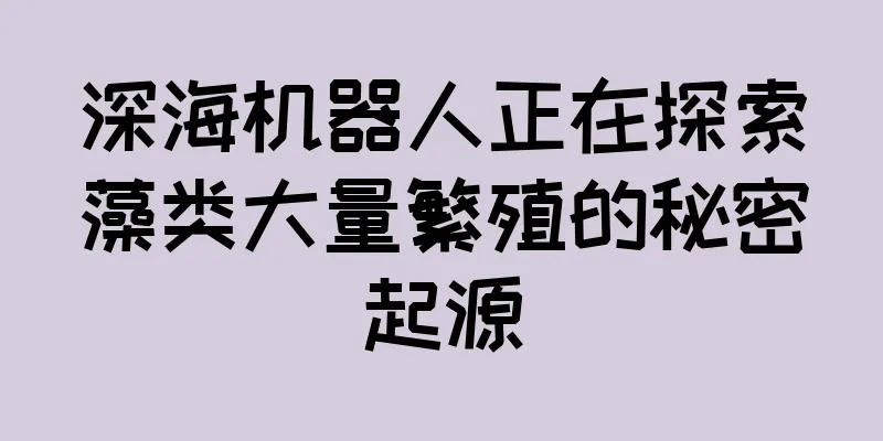 深海机器人正在探索藻类大量繁殖的秘密起源
