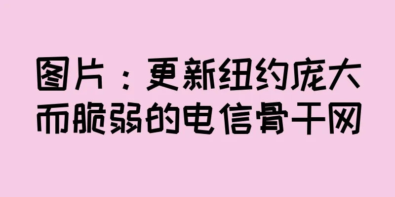 图片：更新纽约庞大而脆弱的电信骨干网