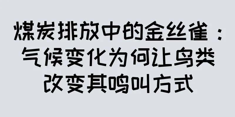 煤炭排放中的金丝雀：气候变化为何让鸟类改变其鸣叫方式