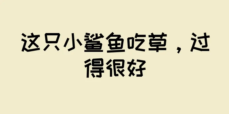这只小鲨鱼吃草，过得很好