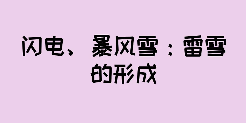 闪电、暴风雪：雷雪的形成