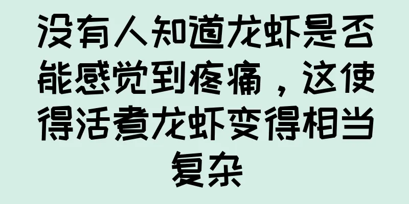 没有人知道龙虾是否能感觉到疼痛，这使得活煮龙虾变得相当复杂