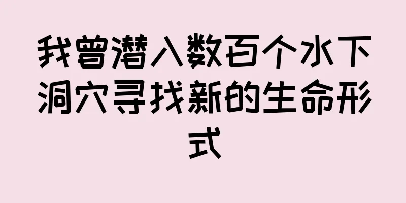 我曾潜入数百个水下洞穴寻找新的生命形式