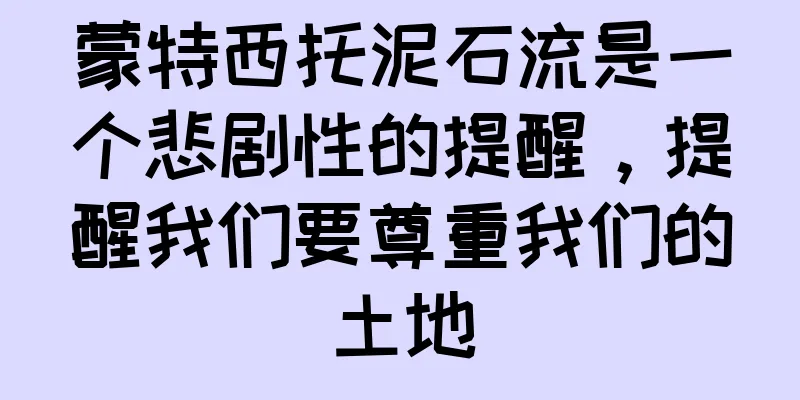 蒙特西托泥石流是一个悲剧性的提醒，提醒我们要尊重我们的土地