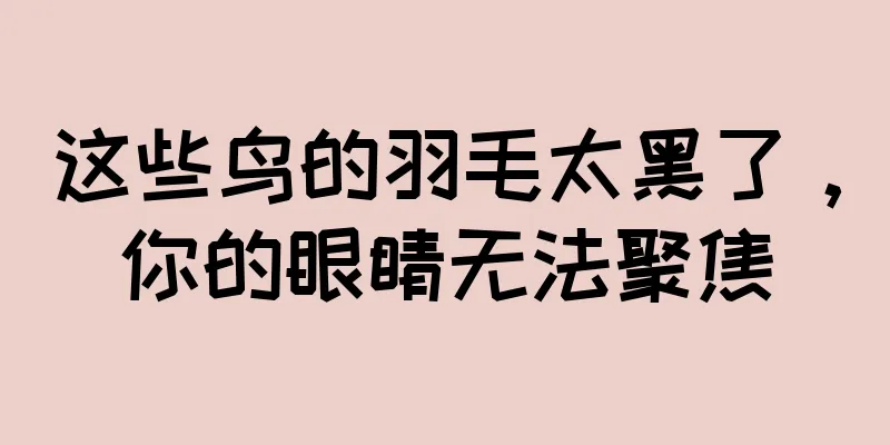 这些鸟的羽毛太黑了，你的眼睛无法聚焦