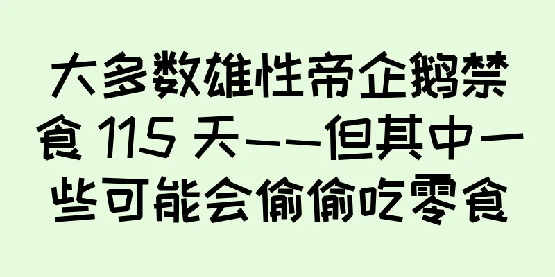 大多数雄性帝企鹅禁食 115 天——但其中一些可能会偷偷吃零食