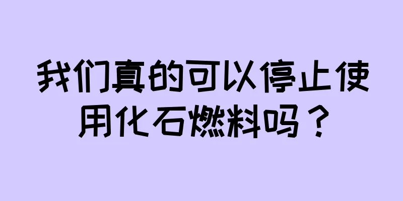 我们真的可以停止使用化石燃料吗？