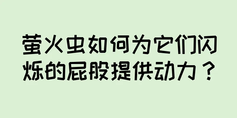 萤火虫如何为它们闪烁的屁股提供动力？