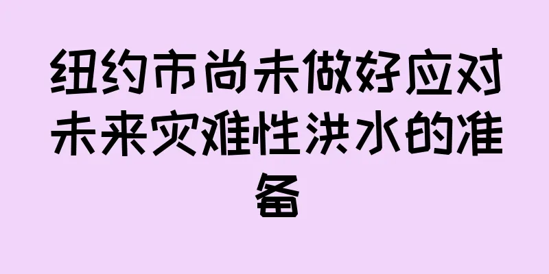 纽约市尚未做好应对未来灾难性洪水的准备