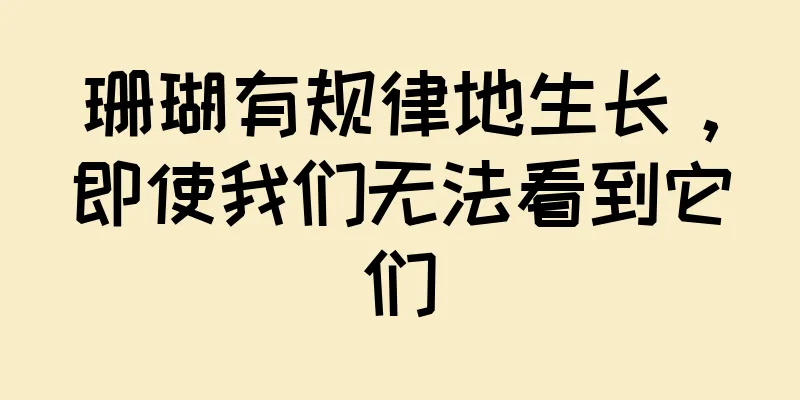 珊瑚有规律地生长，即使我们无法看到它们