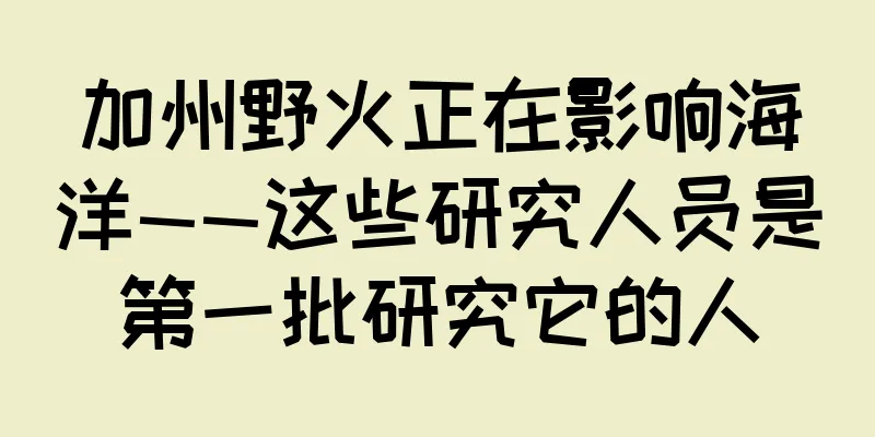 加州野火正在影响海洋——这些研究人员是第一批研究它的人