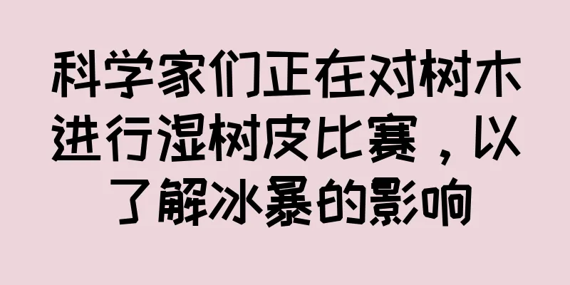 科学家们正在对树木进行湿树皮比赛，以了解冰暴的影响