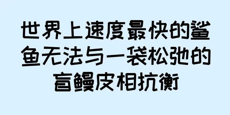世界上速度最快的鲨鱼无法与一袋松弛的盲鳗皮相抗衡