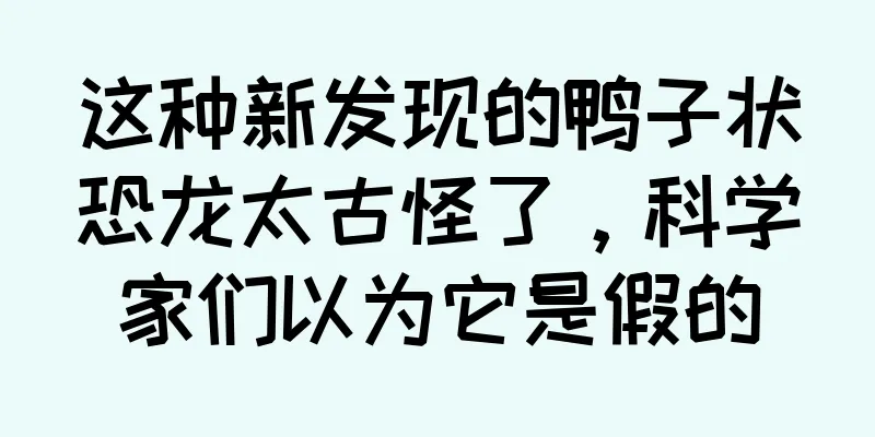 这种新发现的鸭子状恐龙太古怪了，科学家们以为它是假的