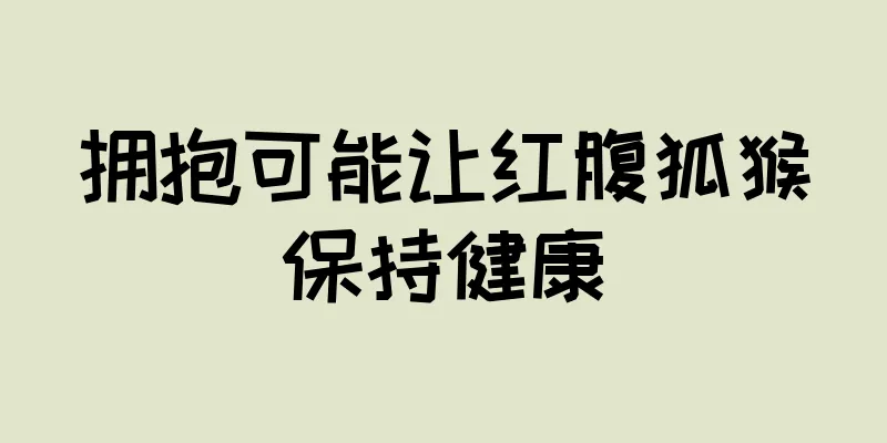 拥抱可能让红腹狐猴保持健康
