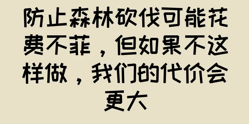 防止森林砍伐可能花费不菲，但如果不这样做，我们的代价会更大