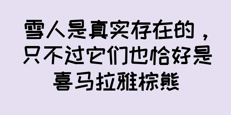 雪人是真实存在的，只不过它们也恰好是喜马拉雅棕熊
