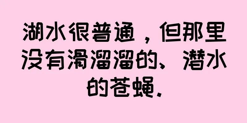 湖水很普通，但那里没有滑溜溜的、潜水的苍蝇。