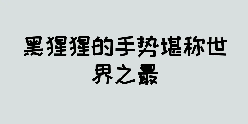 黑猩猩的手势堪称世界之最