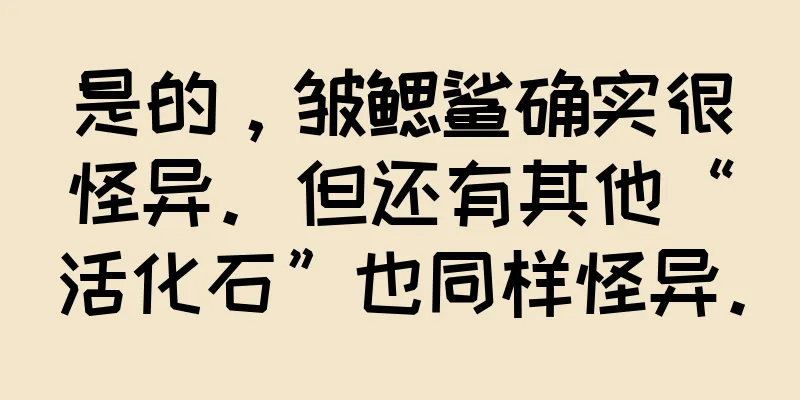 是的，皱鳃鲨确实很怪异。但还有其他“活化石”也同样怪异。