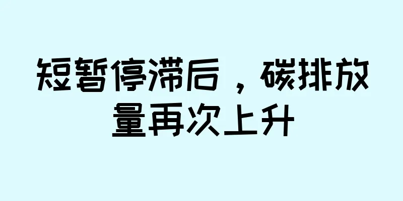 短暂停滞后，碳排放量再次上升