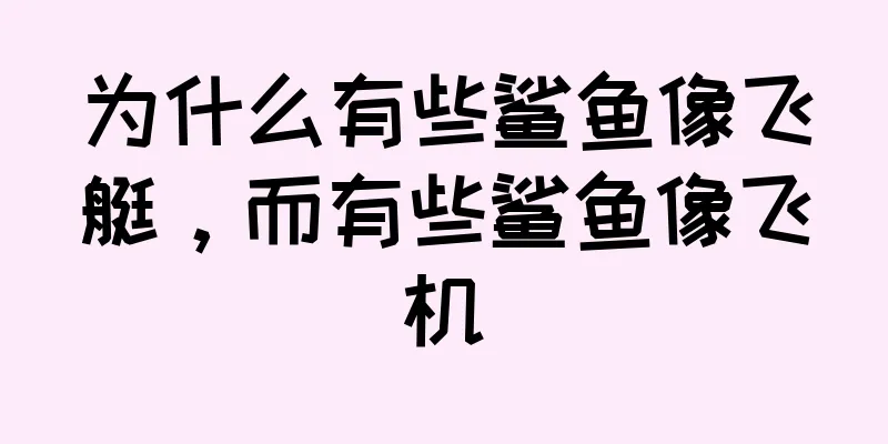 为什么有些鲨鱼像飞艇，而有些鲨鱼像飞机