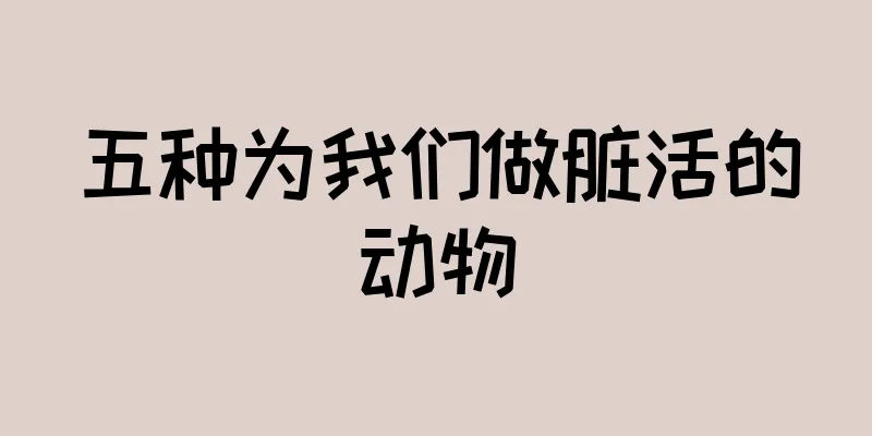 五种为我们做脏活的动物