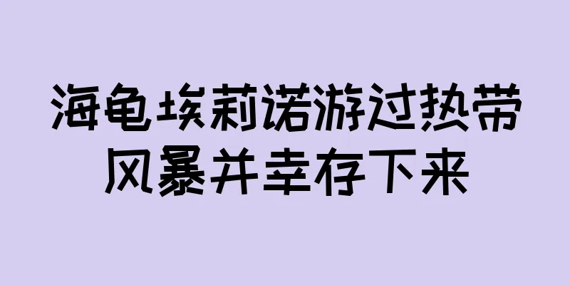 海龟埃莉诺游过热带风暴并幸存下来
