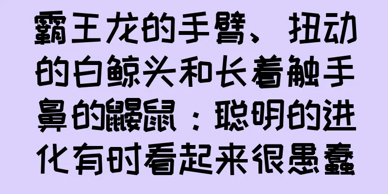 霸王龙的手臂、扭动的白鲸头和长着触手鼻的鼹鼠：聪明的进化有时看起来很愚蠢