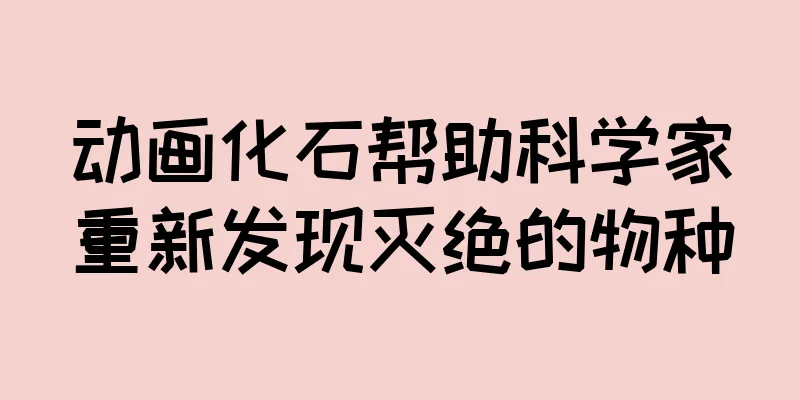 动画化石帮助科学家重新发现灭绝的物种