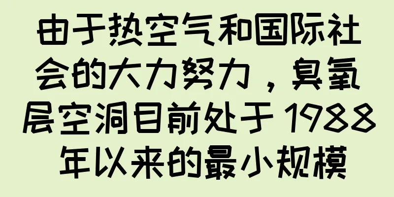 由于热空气和国际社会的大力努力，臭氧层空洞目前处于 1988 年以来的最小规模