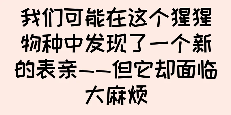我们可能在这个猩猩物种中发现了一个新的表亲——但它却面临大麻烦