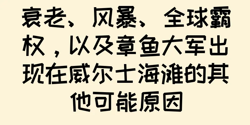 衰老、风暴、全球霸权，以及章鱼大军出现在威尔士海滩的其他可能原因