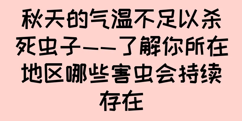 秋天的气温不足以杀死虫子——了解你所在地区哪些害虫会持续存在
