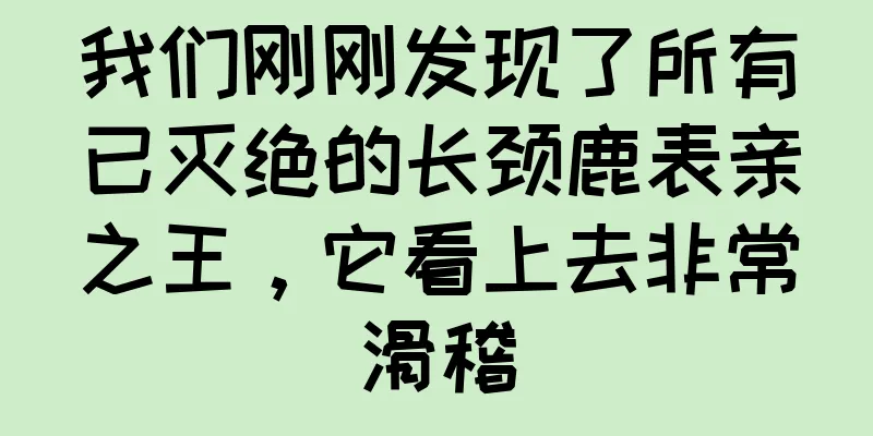 我们刚刚发现了所有已灭绝的长颈鹿表亲之王，它看上去非常滑稽