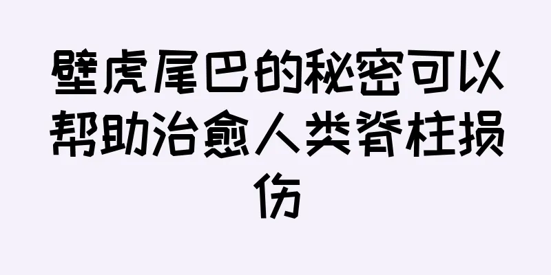 壁虎尾巴的秘密可以帮助治愈人类脊柱损伤