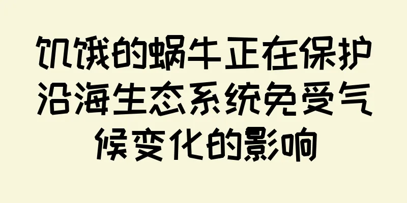 饥饿的蜗牛正在保护沿海生态系统免受气候变化的影响
