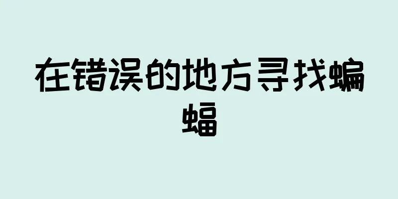 在错误的地方寻找蝙蝠