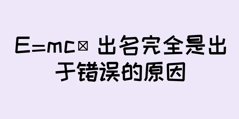 E=mc² 出名完全是出于错误的原因