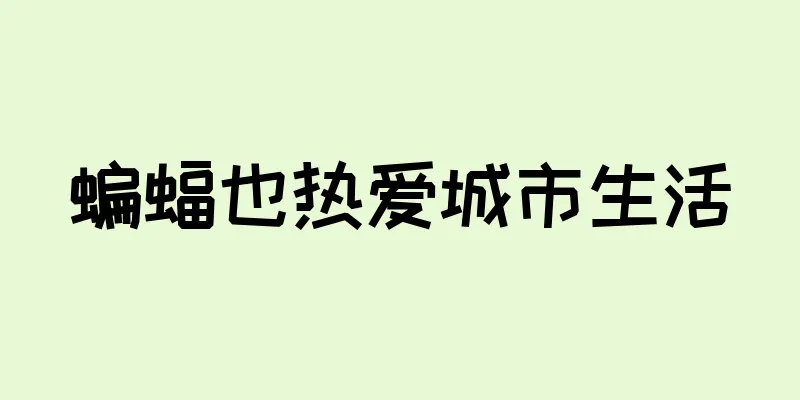 蝙蝠也热爱城市生活