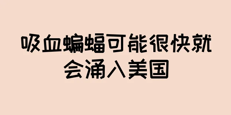 吸血蝙蝠可能很快就会涌入美国