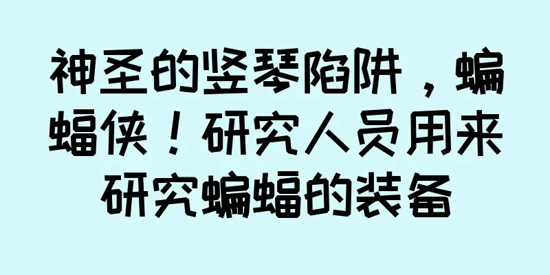 神圣的竖琴陷阱，蝙蝠侠！研究人员用来研究蝙蝠的装备
